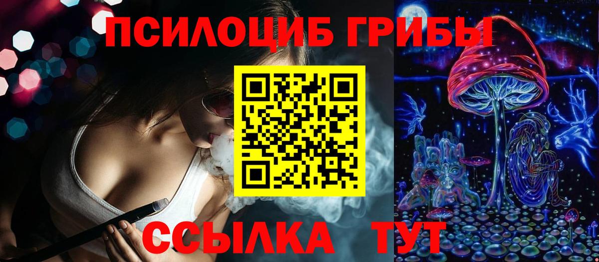 Псилоцибиновые грибы мицелий Вязьма