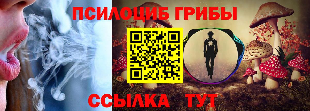 Вязьма  купить  сайты  Вход с VPN  Галлюциногенные грибы Magic Shrooms  Псилоцибиновые грибы Magic Shrooms 
